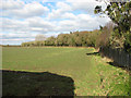 Crop field in Bracon Ash in Mulbarton & Stoke Holy Cross Ward