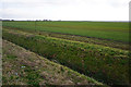 Flat farmland near Swavesey in CB24 4RG