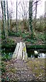 Snow Hill Lakes footbridge under Mad Dog Shaw Colliers Green in TN17 2LP