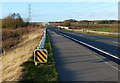 Safety barrier along the Earl Shilton Bypass in LE9 7BR
