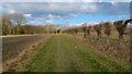 Footpath to Friezley Lane, Cranbrook, Kent in TN17 2PS