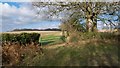 West from Friezley Lane, Cranbrook, Kent in TN17 2PS