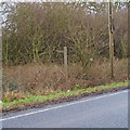 Footpath signpost, East Hanningfield Road, near Butt's Green in CM2 7TT
