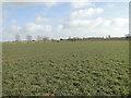 Open farmland in IP20 9PH