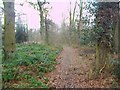 Westwood Heath, footpath in CV4 7HX