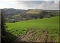 Towards the West Looe valley in PL14 4PS