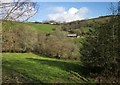 Across the West Looe valley in PL14 4PS