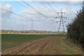 Pylons near Hammond's Farm, Little Baddow in CM3 4BJ