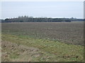 Flat farmland off Carr Road in HU17 9GT