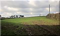 Field near Sclerder Abbey in PL13 2JS