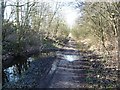 Former railway line, west of the Doncaster Road, Upton in WF9 2XZ