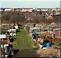 Forest Road Allotments, Mansfield, Notts. in NG18 4RU