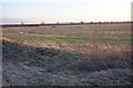 Rough grassland near Longstanton in CB24 3DT