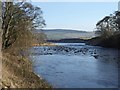 River South Tyne at Newbrough in NE47 5AG