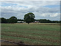 Farmland west of Bruntingthorpe in LE17 5PU