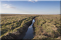 Saltmarsh at Parkgate in CH64 6RR