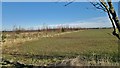 Field between Swanland and Swanland Dale in HU14 3QG