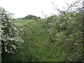 Disused railway looking north east from Broad Lane bridge over the line in PE31 8SX