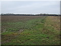 Farmland off Carr Road in HU17 9GT