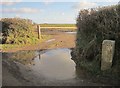 Milestone and gateway south of Pelynt in PL13 2LF
