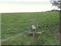 Stile on path at Whittlefold, Wrightington in Hilldale