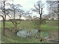 Pond on footpath near Stony Lane, Parbold in WN8 7HR