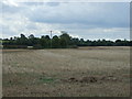 Stubble field near Countesthorpe in LE8 5UZ