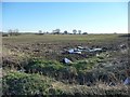 Farmland on the south side of Broad Lane in WF9 3FJ