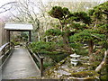 In the Japanese Garden, St Mawgan in TR8 4EU