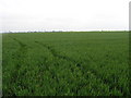 Just a Field in PE6 0QN