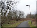 National Cycle Route 1, looking east in EH15 3PX