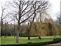 Roydon Hall through the trees in TN12 5NE