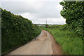 Country road to Lanreath in PL13 2NZ
