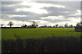 Farmland south of Dereham Rd in NR20 3PD
