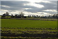 Countryside near Mattishall in NR20 3PD