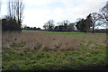 Rough grazing by Stone Rd in NR20 3PE
