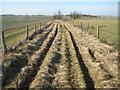 Horton: Bridleway to Manor Farm in NN7 2BH