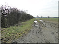Farm track and hedgerow beside the B1134 at Gissing in NR16 1PA
