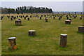 Woodhenge, looking south into the centre in SP4 8BJ