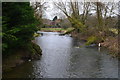 River Avon looking upstream from Haxton Bridge in SP4 9PX