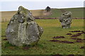 Looking across the Stone Avenue, Avebury in SN8 1RD