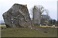 Stones, birds and sheep at Avebury in SN8 1RQ