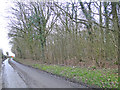 Shotesham Road beside Beckett's Wood in NR35 2NG