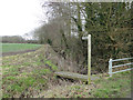 Footpath off Zig Zag Lane in Kirstead