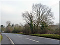 B1019, Maldon Road in CM3 2LY