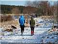 A February walk around Lindean Reservoir in TD7 4QN