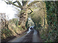 Wickham Hall Lane in CM8 3JX