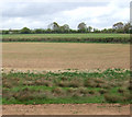 Fields near Picking's Bridge in TA4 1HA