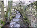 Stream above Hollywood Cottage in SK6 5LP
