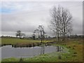 Pond, near the M5 motorway in TA7 0BD